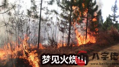 做夢火燒山怎麼回事 有什麼征兆