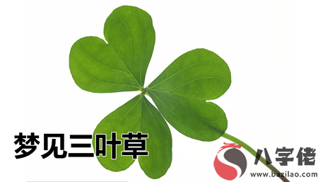 做夢夢見三葉草是不好的征兆嗎 要注意什麼