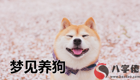 夢到養犬 養狗有什麼寓意 要注意什麼