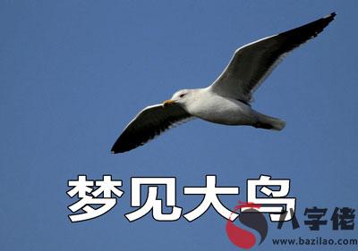 做夢夢到大鳥怎麼回事 是好兆頭嗎