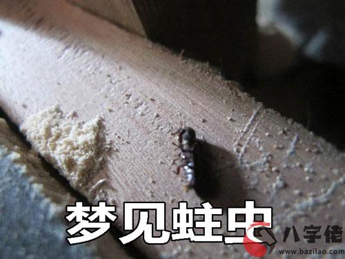 夢到蛀蟲預示什麼 是不好的嗎