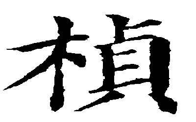 寶寶取名帶楨字怎麼取獨特又有含義