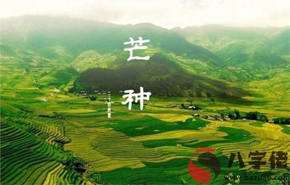 020年芒種出生帶萍字優雅大方五行缺水女孩名字！"