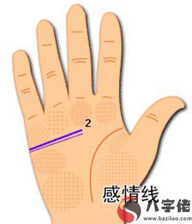 感情線圖解，兩條感情線.jpg
