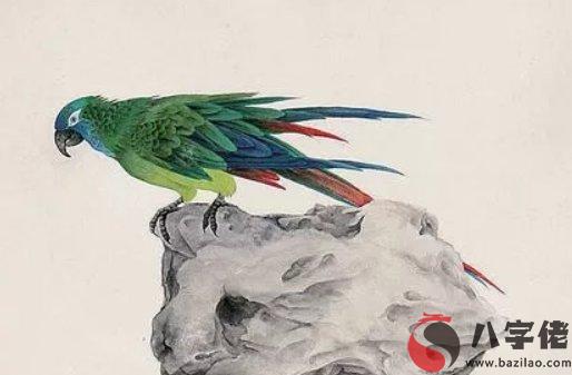 1964年出生的人是什麼命，才華橫溢，財運極佳