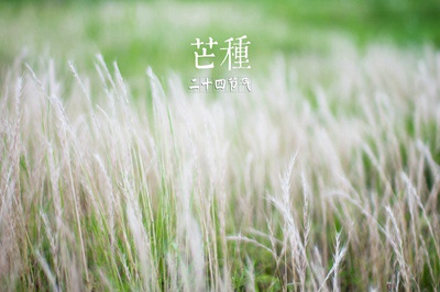020庚子鼠年芒種節氣未時出生的人是什麼命？"