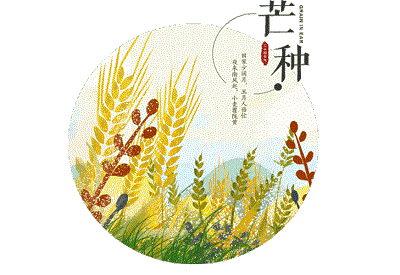 芒種后的第九天交運什麼意思？2020年芒種出生的人好嗎？