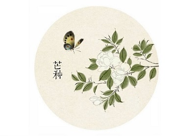 芒種后的第九天交運什麼意思？2020年芒種出生的人好嗎？