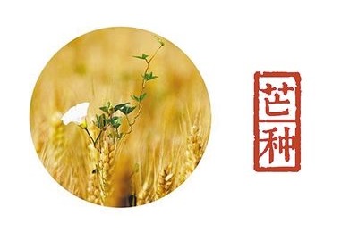 芒種節氣簡介，生肖屬蛇的人芒種節氣出生命運怎麼樣？