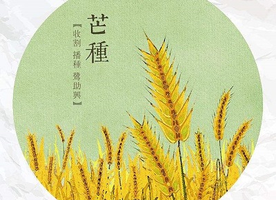 芒種節氣要注意什麼？芒種節氣出生的屬羊人命運如何？