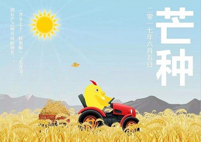 020芒種出生的女孩什麼命？芒種后夏至前是什麼季節？"