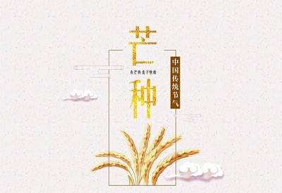 生肖屬兔的人芒種節氣出生好不好？芒種有什麼活動？