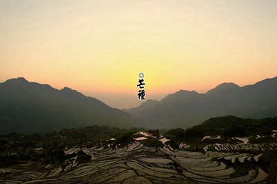 生肖屬兔的人芒種節氣出生好不好？芒種有什麼活動？