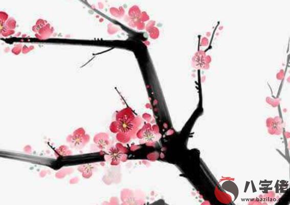2020年農歷十月出生的鼠寶寶命運如何,寶寶性格特征