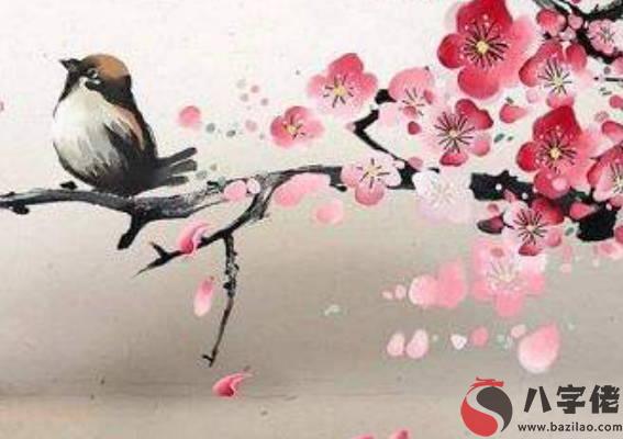 2020年6月出生的鼠寶寶是什麼命,鼠寶寶的性格優點