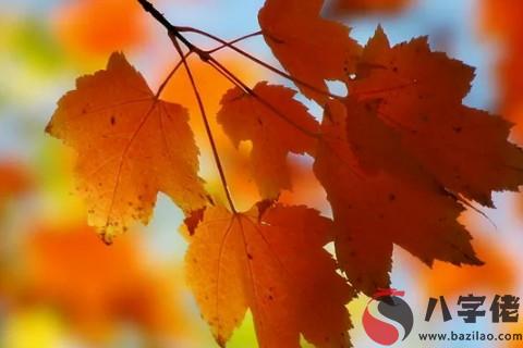 什麼樣的命理容易得罪人