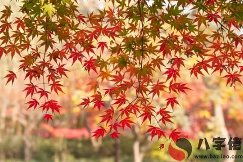 什麼八字的人小氣 花錢最摳門