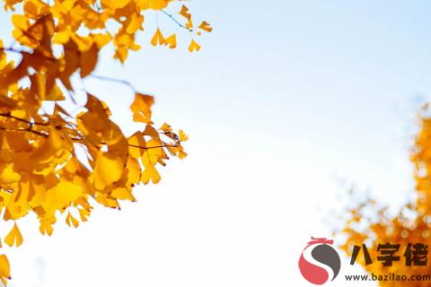 八字中什麼樣的人偏財運好