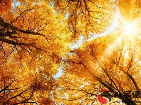 好老公好男人的八字特征