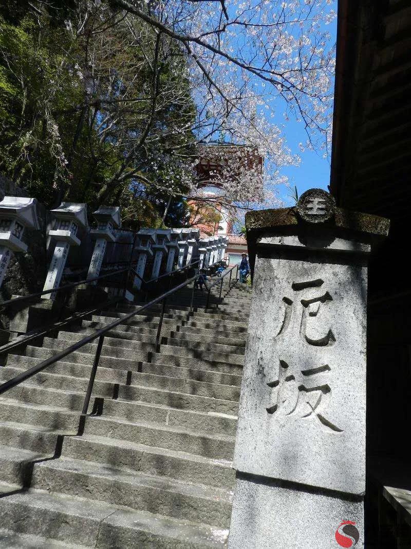 佛教和犯太歲