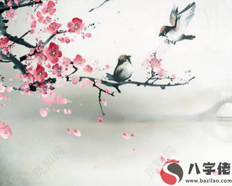 婚姻屬相配對大全，白馬怕青牛，羊鼠不合