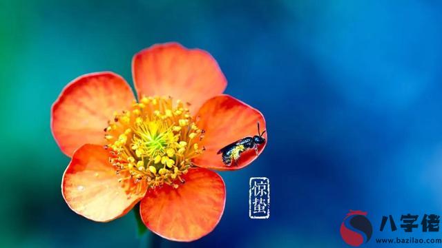 八字測算,驚蟄是什麼意思？有什麼習俗？