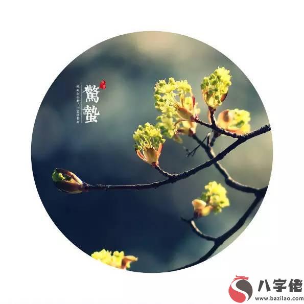 在線測字,驚蟄有什麼忌諱？2020年驚蟄還有幾天？