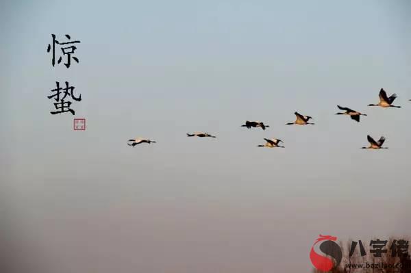 免費個性化算,驚蟄節氣有什麼含義？風俗習俗開運了解一下