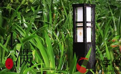 020年小滿節氣戌時出生寶寶喜用神是什麼，命如何？"