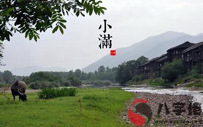 020年小滿節氣喜神方位，出生在小滿節氣的屬馬人命運如何？"
