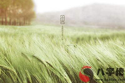 020鼠年小滿節氣未時（13-15時）出生的寶寶命好嗎？"