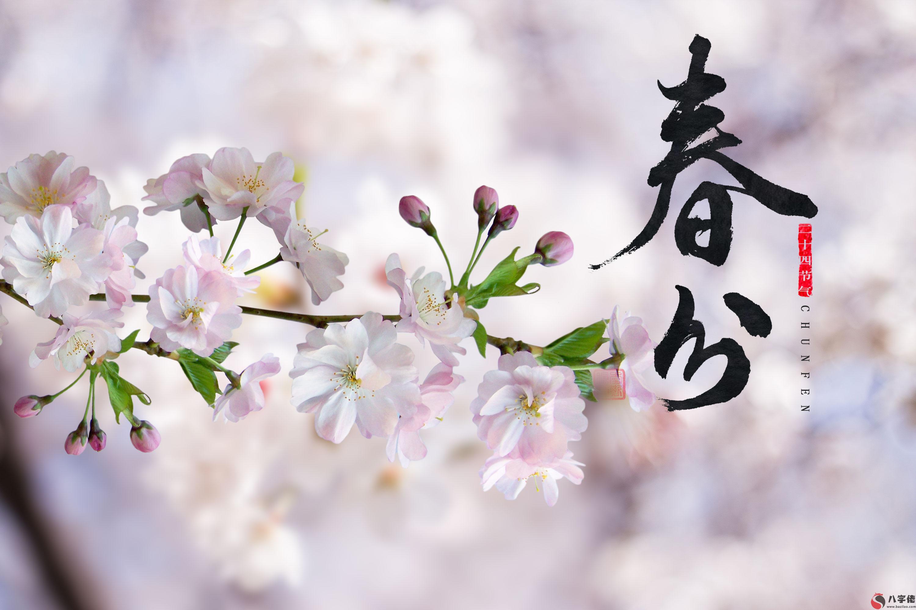 姓名測試打分,春分養生要注意什麼？春分是什麼日子？