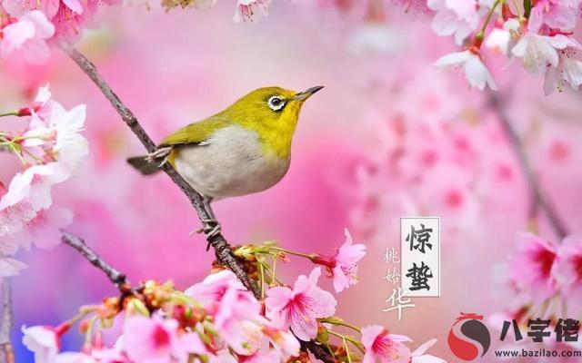 在線排盤,2020年驚蟄這天的時辰吉兇如何？宜忌如何？
