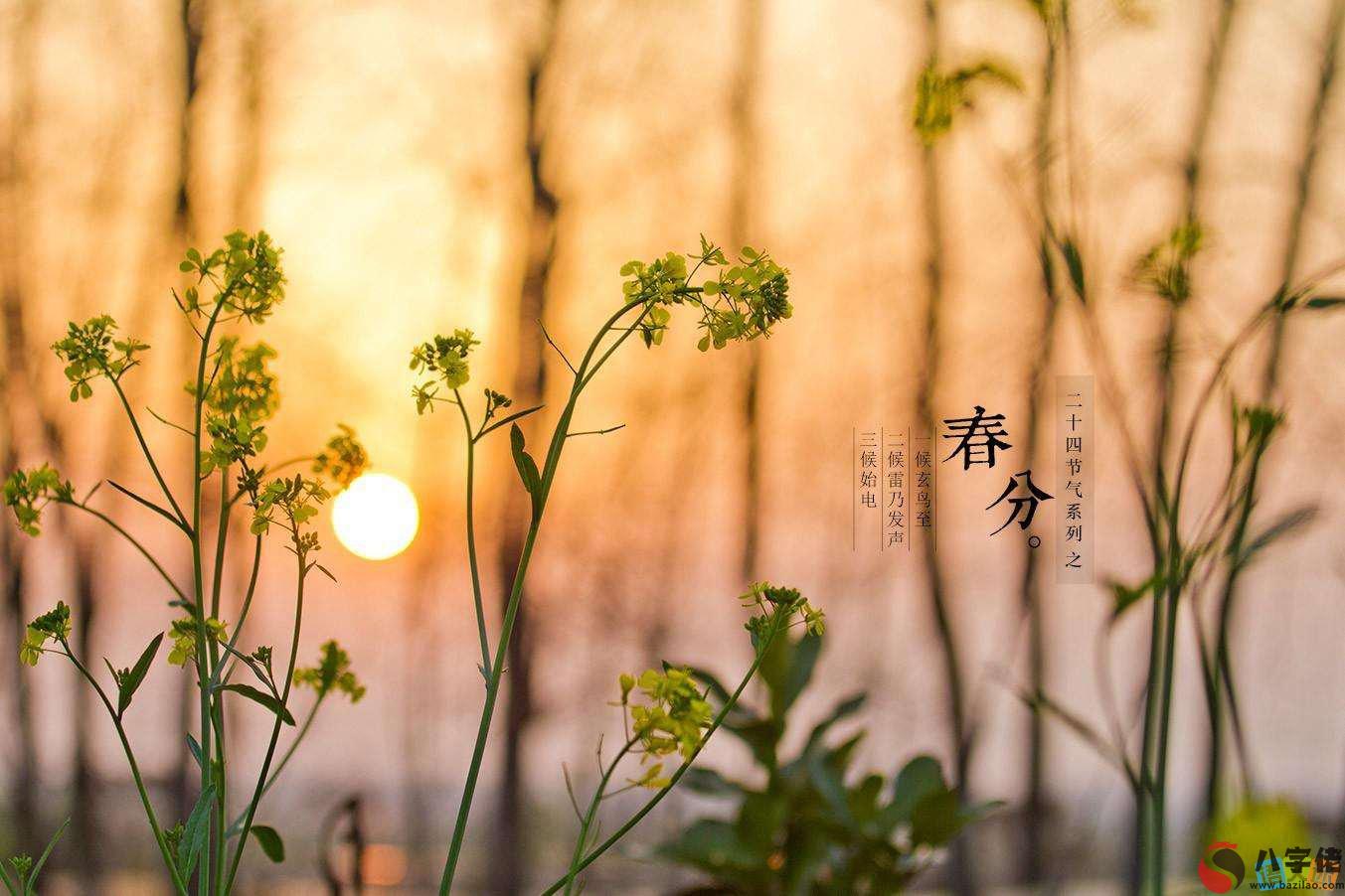 在線測字,春分的風俗活動有哪些？2020年春分是什麼時候？