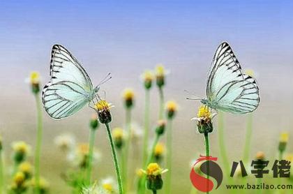 974年閏四月出生屬虎命理,最近出現的閏四月的年份！"