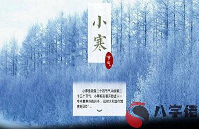 020庚子年十一月廿一小寒前一天出生的寶寶命運怎麼樣？"