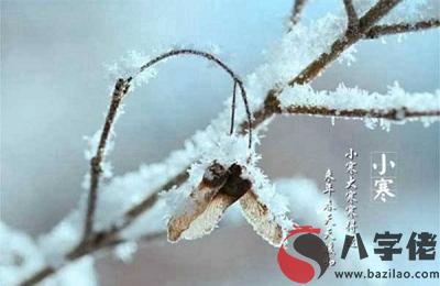 020庚子年十一月廿一小寒前一天出生的寶寶命運怎麼樣？"