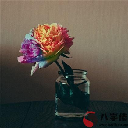 測測明年你哪方面運氣最旺？準到哭