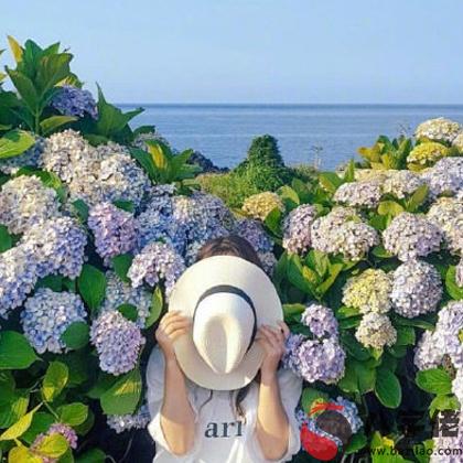 測看春節期間你會遇上什麼好事？