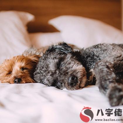 從日常睡姿測你目前的生活狀態！