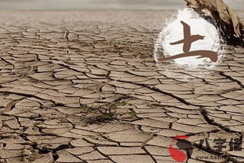 土命做什么行業比較旺？
