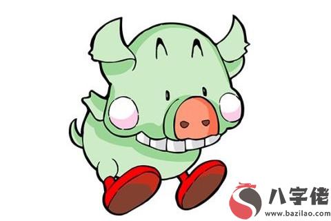 生肖豬五行屬什么？
