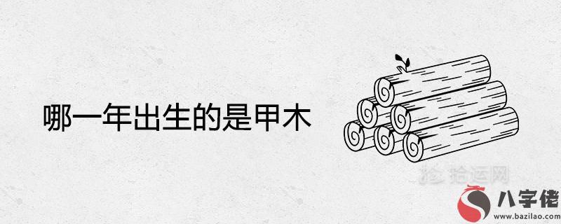 哪一年出生的是甲木