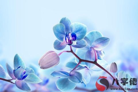 農歷六月十三出生的人命運如何