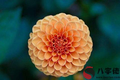 農歷六月二十三日出生的人命運如何