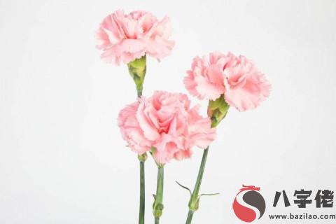 財官雙美八字的女人姻緣好