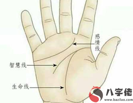 掌紋算命