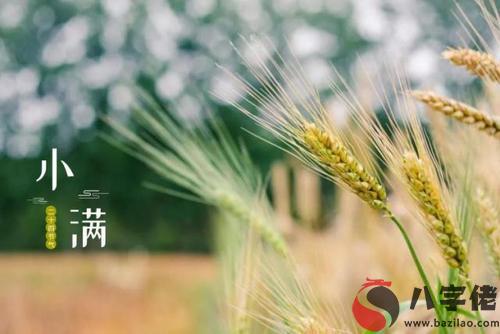 2020年小滿出生的人是什么命好嗎 命運好不好？(圖文)