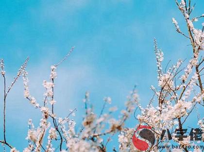 2020年農歷閏四月結婚不好嗎,2020年閏四月結婚吉日(圖文)