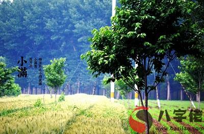 小滿時節應該如何進行養生？小滿節氣養生需要注意什么？(圖文)